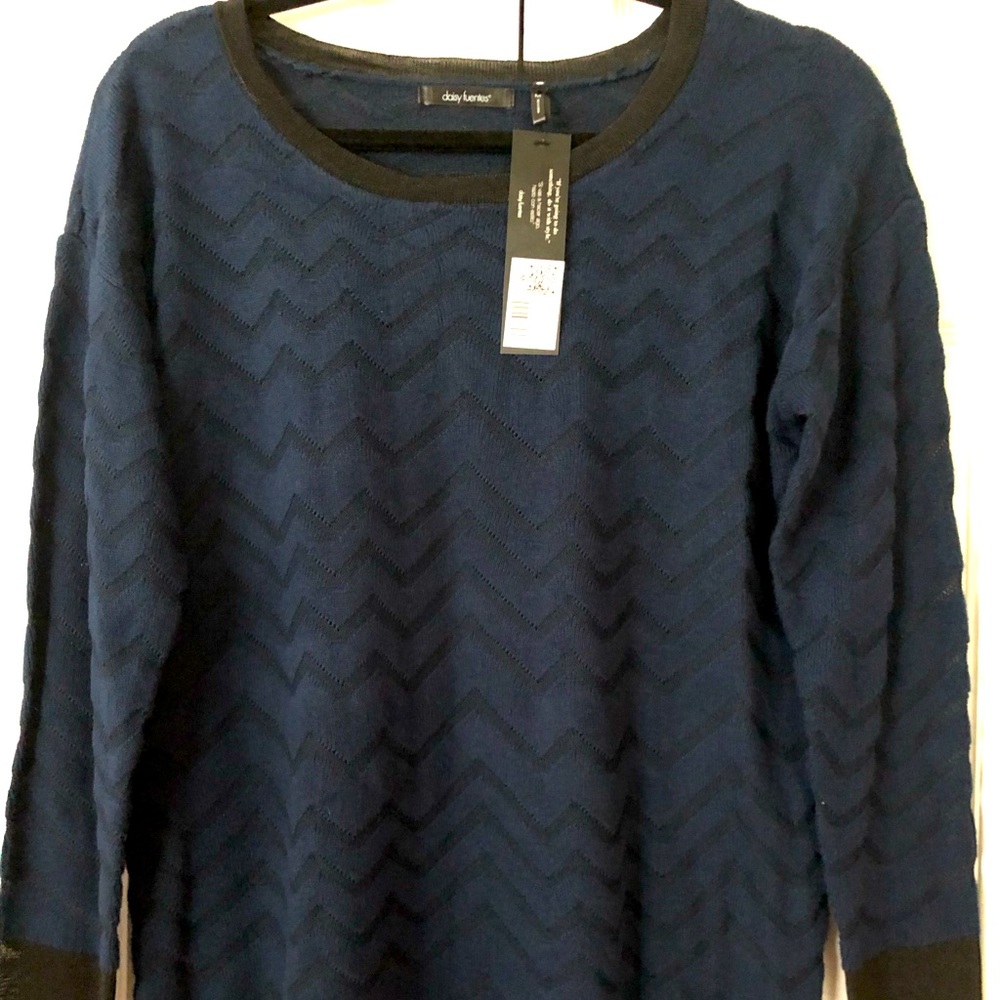 Daisy Fuentes Sweater